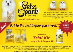 Email Marketing Campaign